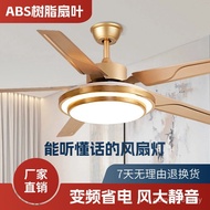 Leaf Ceiling Fan Music Fan Headlight Living Room Smart Resin Dining Room Frequency Conversion Light 