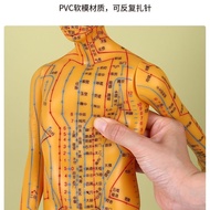 Medium Whole Body Model Human Meridian Model Human Model Human Use Moxibustion Villain 54cm