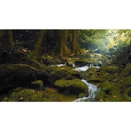 Beautiful forest relaxing Music cure music Healing Music peaceful music mp3