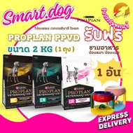 Food Bowl For Dogs And Cats Can Be Decorated