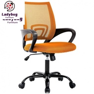 【Seven Star Ladybug】Ergonomic Office Chair Mid Back Mesh Computer Chair With Lumbar Support Armrest Executive Rolling Swivel Desk Chairs