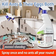 【Whole nest died 】LGD Ant killer spray Spray semut Ant spray Quickly clear all ants Green ingredient