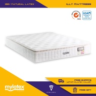 MyLatex ILLY (10 inch), Natural Latex + Coconut Fibre Orthopaedic Mattress, Sizes (Queen, King, Single, Super Single)