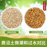 Azalea Stone Imported Shikamata Potted Plant Slightly Acidic Succulent Japanese Nutrient Granules Sh