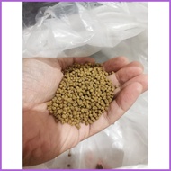 ✟ ❈ ✻ Tateh Aquafeeds 500grams Surfer Starter Tilapia Catfish (Hito) Milkfish Koi Feeds Floating Pe