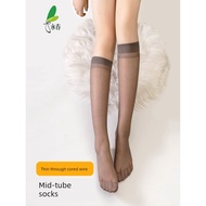 丝袜 stocking woman Stoking betis Yongchun wanita musim panas sutera inti nipis di bawah stoking tiub 