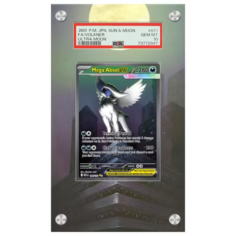 Art Display For Pokemon Cards Display Mega Absol PTCG Self Made Acrylic Protective Case Keychain Ani