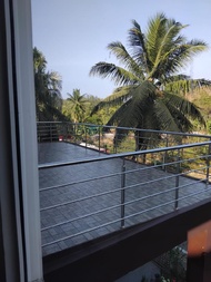 Pibo Homestay