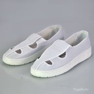 Dongguan Direct Sales Anti-Static Four-Hole Shoes PVC Sole Food Work Shoes PVC Anti-Slip Middle Towe