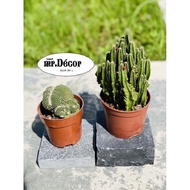 Cobblestone Stone Square Gardening Decorating Stone Landscape