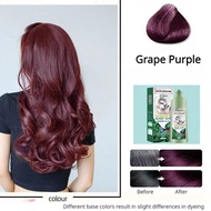 【On Sale】 450ml Bubble Hair Dye Shampoo Natural Black Purple Cover Gray White Hair Barber Shop Hair Color