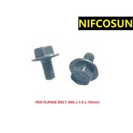 10PCS HEX FLANGE BOLT (M6 x 1.0 x 10mm)