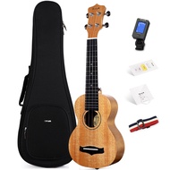 Enya 25D Soprano Ukulele 21 Inch Blue Solid Mahogany Top with Ukulele Starter Kit Includes Online Lessons TunerCase Strap CapoPickPolish Cloth