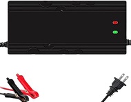 73V 5A LiFePO4 Battery Charger for 60V (64V 20Strings) Lithium Iron Phosphate Battery,Smart Lithium 