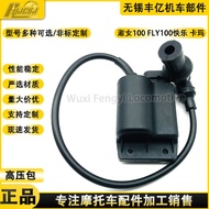 Pek Voltan Tinggi Piaggio Lady 100 FLY100 Happy 100 Kama 100 Piaggio 100 Peranti DZ100