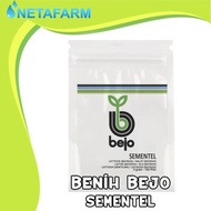 Terbaik Benih / Biji / Bibit BEJO SEMENTEL Selada Batavia 100pills