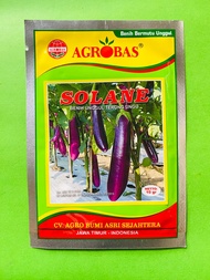 Benih Unggul Terong Ungu SOLANE 10gr terbaikk!!