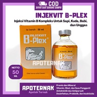 INJEKVIT B-PLEX 50 mL Inj | Increase Animal Productivity and Immunity B Complex B Complex | MEDION |