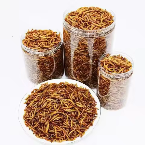 270ml Mealworm Dried Aquarium Tank Pond Fish Reptile Wild Bird Food Hamster Birdseed Lizard Turtle A