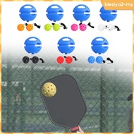 [BlesiyaedMY] Pickleball Pickleball Rebounder Professional Pickleball Training Aid with 40 Holes Pic