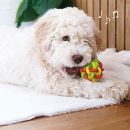 【日本DoggyMan】超可愛 ! 可放入小零食 ~ 犬用通心粉橡膠球