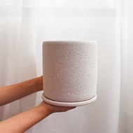 Mica B5 & B6 with saucer (Self pickup or Car Delivery)