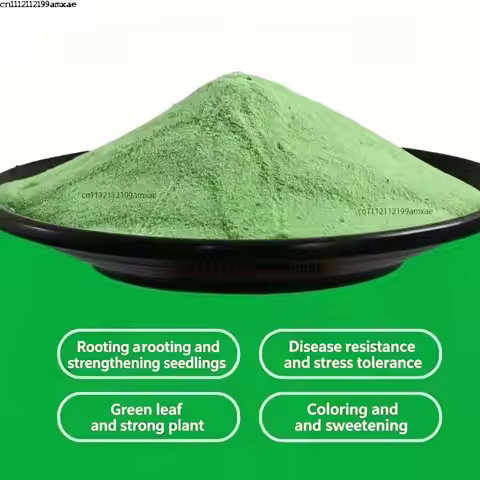 Natural Organic Seaweed Extract Water Soluble Fertilizer Seaweed Powder Root Growth Enhancer for Pot