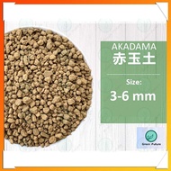 1 LITER SIZE AKADAMA Succulent Cactus Soil Bonsai Soil  日本赤玉土 多肉赤玉土 Granular soil  多肉铺面石 多肉石头 多肉石 铺面石 多肉泥土 颗粒土