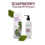 [Freesia Soapberry] Sopberry Creaming Hair Shampoo for Dyeing Hair Nourishing Shampoo for Dyeing Hai