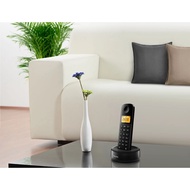 Philips D160 Cordless Phone