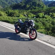 2019  SUZUKI GSX-S150