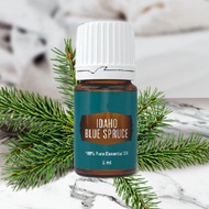 (Clear Stock) Idaho Blue Spruce Essential Oil 5ml
