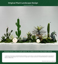 ZHIZHOU | Artificial Cactus Plant Decor