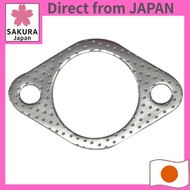 Flange gasket #53