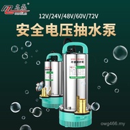 Irrigation Machine Pump Small Submersible Pump Volt Dedicated Battery Electric Vehicle Household DC 