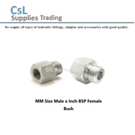 HXB METRIC Male x BSP Female Pipe Thread Bush Adapter