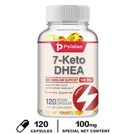 7-Keto DHEA 100 mg - 120 Capsules (Vegetarian Capsules) Dietary Supplement - Carbohydrate Metabolism
