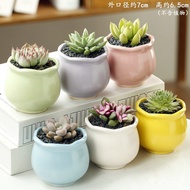 Succulent Flower Pot Special Offer Clearance Free Shipping Succulent Size Creative Simple Balcony Suit Combination Ceram