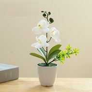 Creative three flowers Phalaenopsis Simulation Flower Potted Plant Home Decoration Restaurant Bedroo