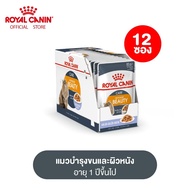 [ยกกล่อง 12 ซอง] Royal Canin Intense Beauty Pouch โรยัล คานิน อาหารเปียกแมวโต ดูแลผิวหนังและเส้นขน อายุ 12 เดือนขึ้นไป (กดเลือกเนื้อสัมผัสได้ Wet Cat Food)