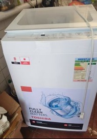 TOSHIBA 東芝 8KG 洗衣機