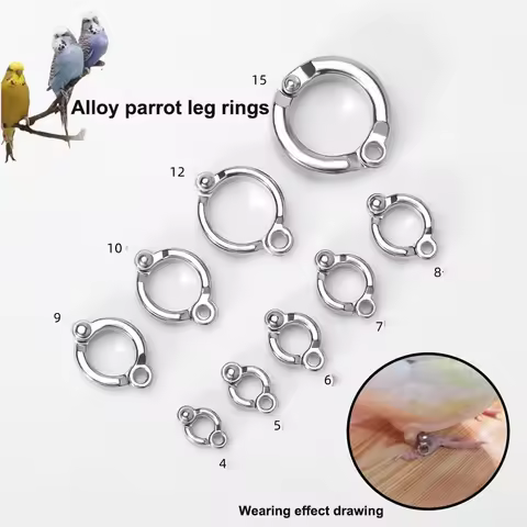 Parrot zinc alloy ankle rings are ultra-light and won't hurt your feet. They are quick-opening faste