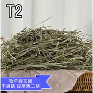 [New Grass Arrive In Hong Kong, Shipment In Order Of Order] Pasture Round But Sieve Horse Racing Gra