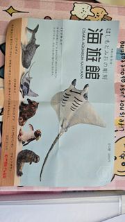 大阪海遊館扭蛋 - Manta Ray