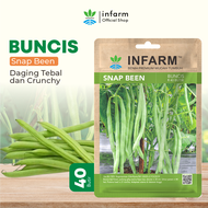 INFARM- Benih Super Buncis Bibit Sayur Buncis Biji Super Buncis Benih Buncis Bibit Buncis Biji Bunci