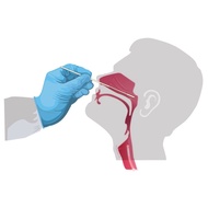 A7 Nasal / saliva nasopharyngeal swab for self test Ready Stock Malaysia