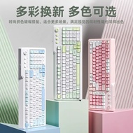 Papan Kekunci Rasa Mekanikal Membran Wolf Spider F3099 Tiga Mod RGB Light E-Sukan Papan Kekunci Komp