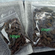 BIJI KEDEKAI ( majalawi ) / BUAH KK (kelentit kering) / LANGKAU