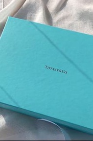 Tiffany & Co. 芬兰💚10oz 咖啡餐具