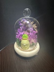 角落小生物 恐龍